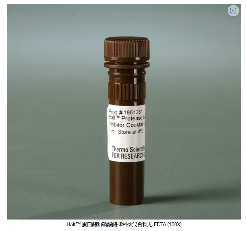 Halt™ 蛋白酶和磷酸酶抑制剂混合物无 EDTA (100X)