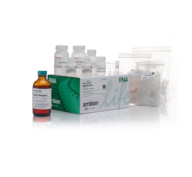TRIzolPlus RNA 纯化试剂盒