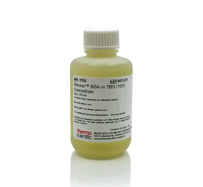 Blocker BSA (10X) TBS 溶液