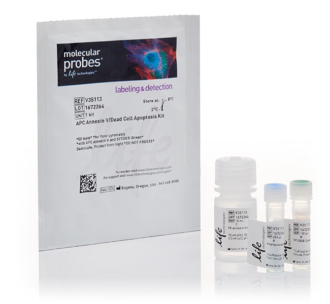 用于进行流式细胞分析的含 Annexin V APC 和 SYTOX Green 的死细胞凋亡试剂盒