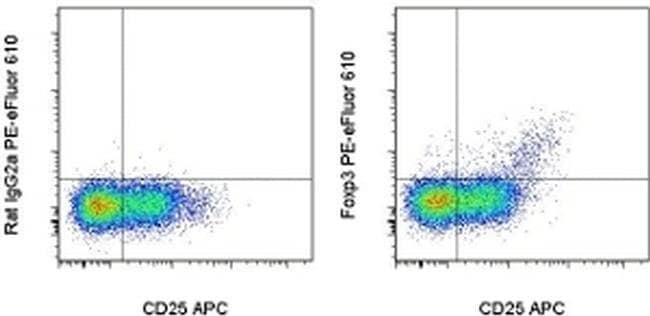 FOXP3 Monoclonal Antibody (PCH101), PE-eFluor 610, eBioscience
