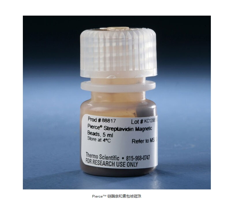 Pierce™ 链酶亲和素包被磁珠