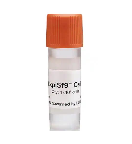 ExpiSf9™ Cells
