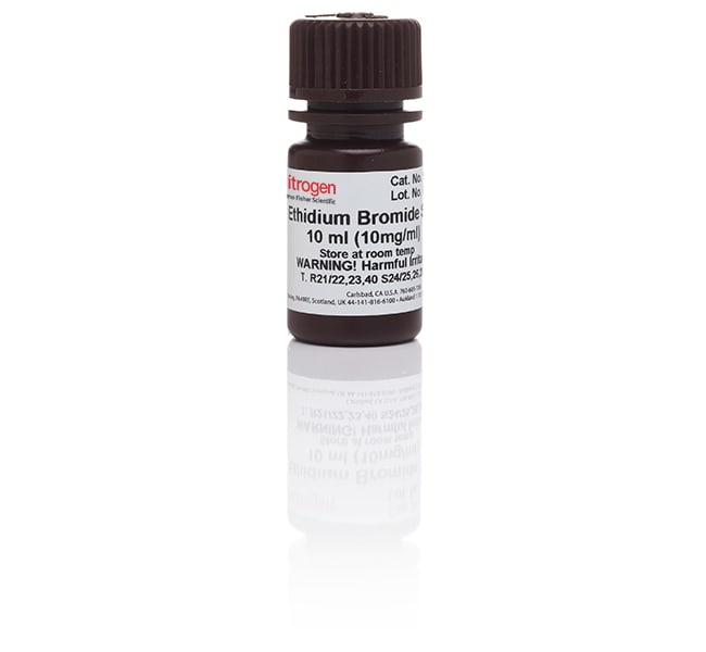 UltraPure 溴化乙锭，10 mg/mL
