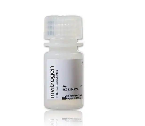 FluoSpheres™ 胺修饰微球，0.2 µm，红色荧光 (580/605)，2% 固体