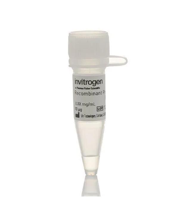 EGFR (ErbB1) T790M C797S L858R Recombinant Human Protein