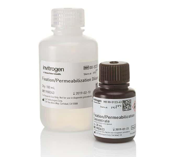 eBioscience Foxp3/转录因子流式固定破膜浓缩液和稀释液