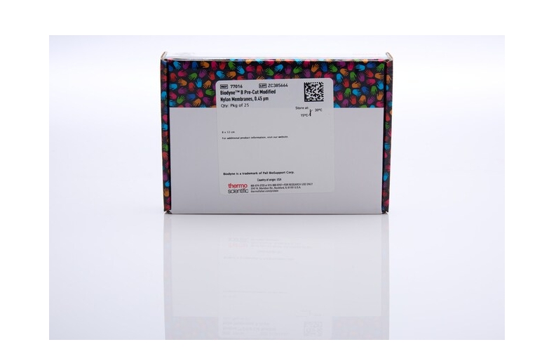 Biodyne™ B 尼龙膜，0.45 μm，8 cm x 12 cm