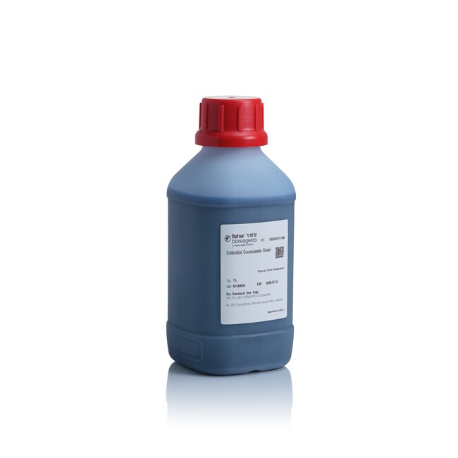 胶体考马斯亮蓝染色液, 1 L