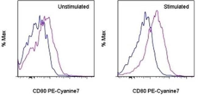 CD80 (B7-1) Monoclonal Antibody (16-10A1), PE-Cyanine7, eBioscience