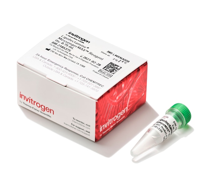 Lipofectamine MessengerMAX 转染试剂