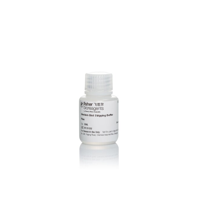 蛋白印迹膜再生液 (加强型), 30 mL