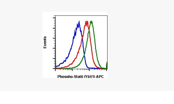 Phospho-Stat6 (Tyr641) Recombinant Rabbit Monoclonal Antibody (Stat6Y641-G12), APC