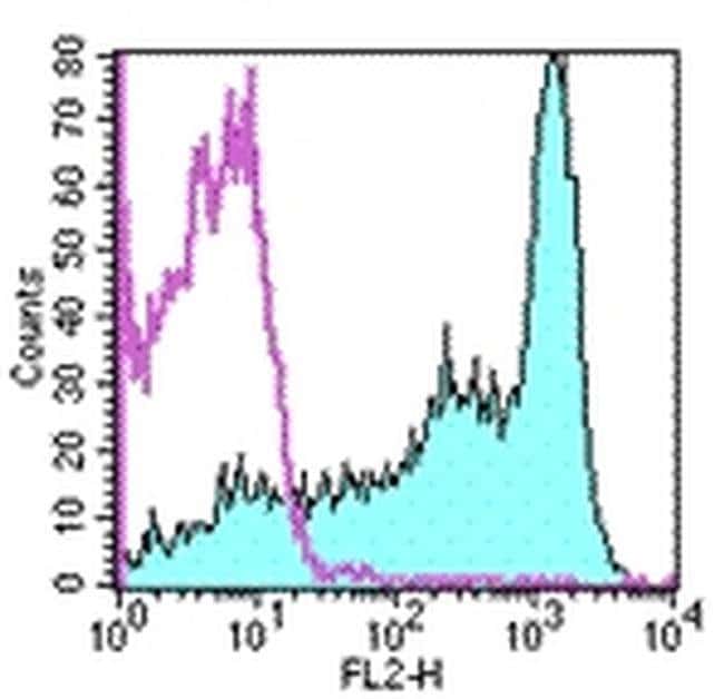 CD62L (L-Selectin) 流式抗体 (MEL-14), PE