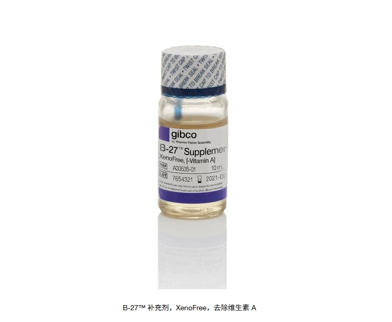 B-27™ 补充剂，XenoFree，去除维生素 A