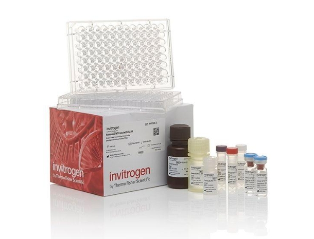 Mouse IgA Uncoated ELISA Kit with Plates