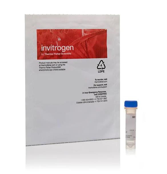 ChromaTide™ Alexa Fluor™ 488-5-dUTP