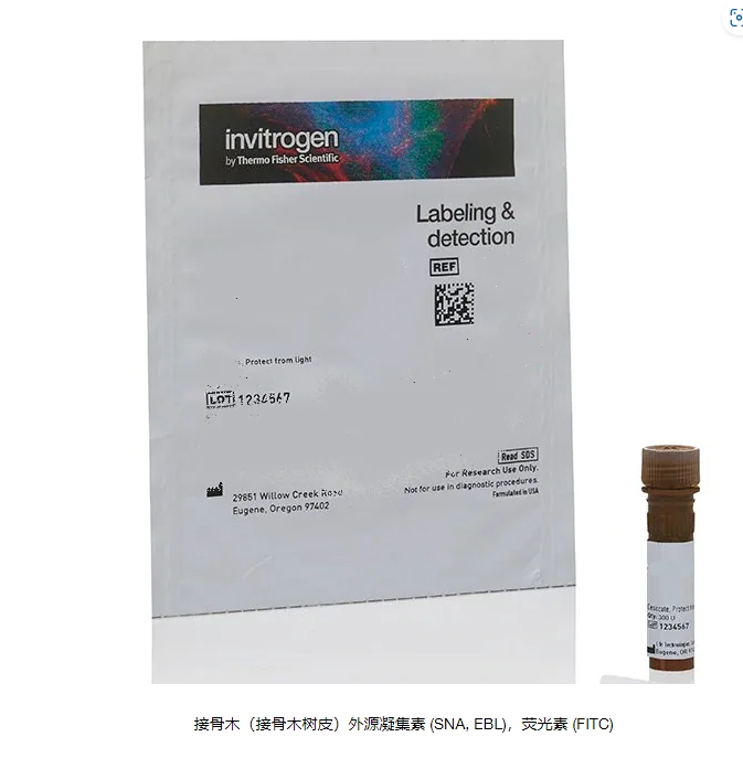 接骨木（接骨木树皮）外源凝集素 (SNA, EBL)，荧光素 (FITC)