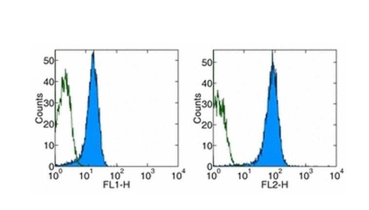 CD31 (PECAM-1) Monoclonal Antibody (390), Biotin, eBioscience™