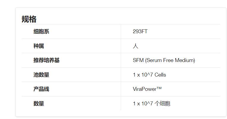 293FT 细胞系