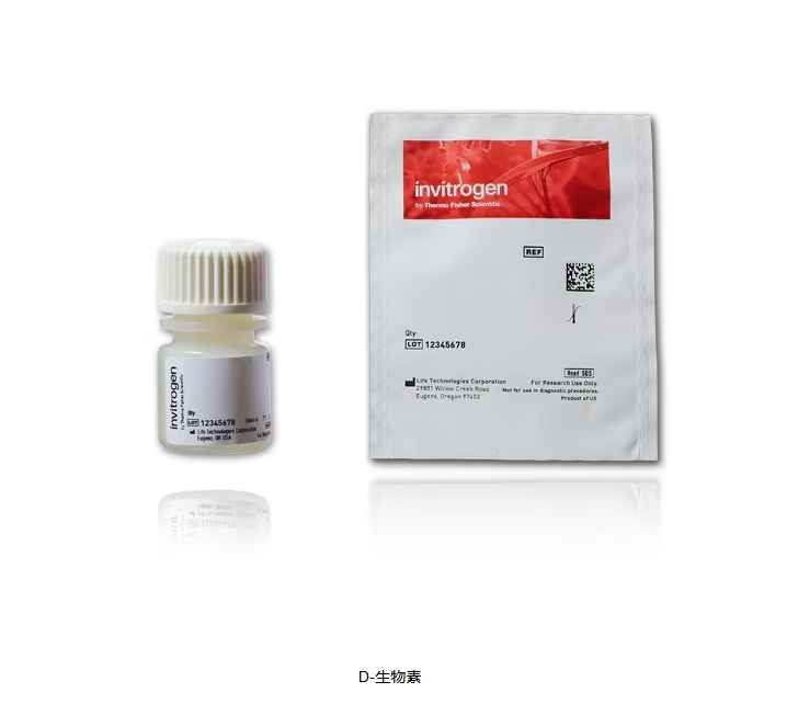 D-生物素