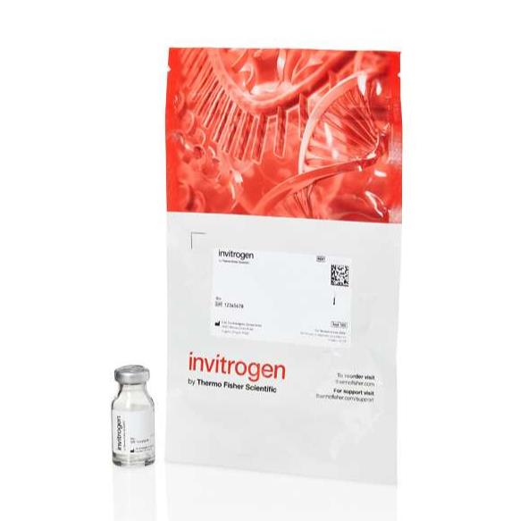 FluoSpheres™ 聚苯乙烯微球，10 µm，深红色 (625/645)，用于血流测定