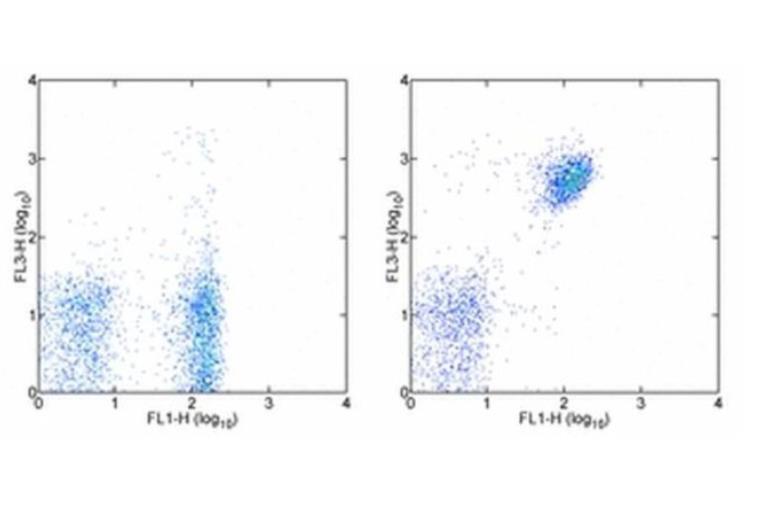 CD19 Monoclonal Antibody (eBio1D3 (1D3)), PE-Cyanine5, eBioscience™