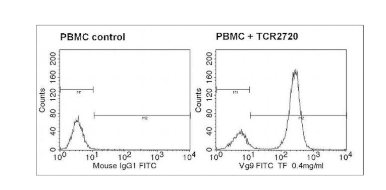 TCR V gamma 9 Monoclonal Antibody (7A5), FITC