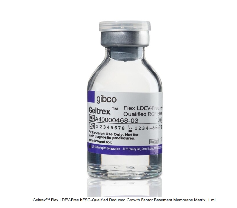Geltrex™ Flex LDEV-Free hESC-Qualified Reduced Growth Factor Basement Membrane Matrix, 1 mL