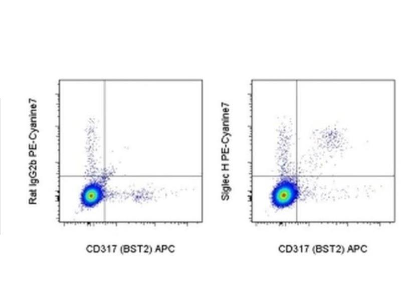 SIGLEC H Monoclonal Antibody (eBio440c), PE-Cyanine7, eBioscience™