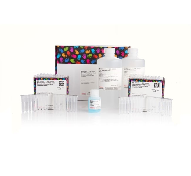 Pierce BCA Protein Assay Kit with Dilution-Free BSA Protein Standards, multichannel pipette compatible