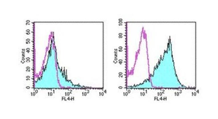 CD86 (B7-2) Monoclonal Antibody (GL1), APC, eBioscience™