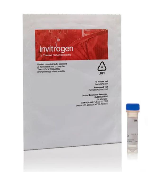 CellLight™ 肌动蛋白-GFP (BacMam 2.0)