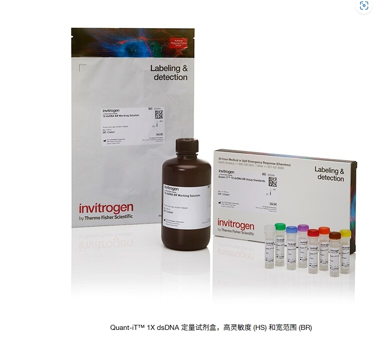 Quant-iT™ 1X dsDNA 定量试剂盒，高灵敏度 (HS) 和宽范围 (BR)  Green features