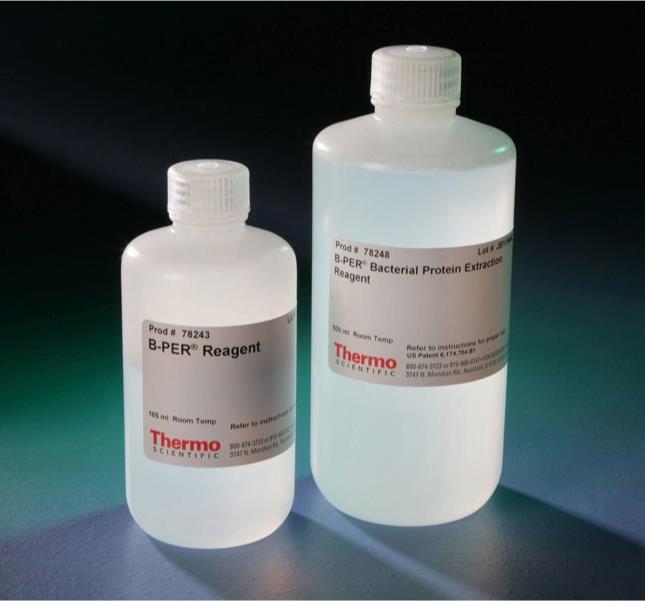 B-PER™ Bacterial Protein Extraction Reagent