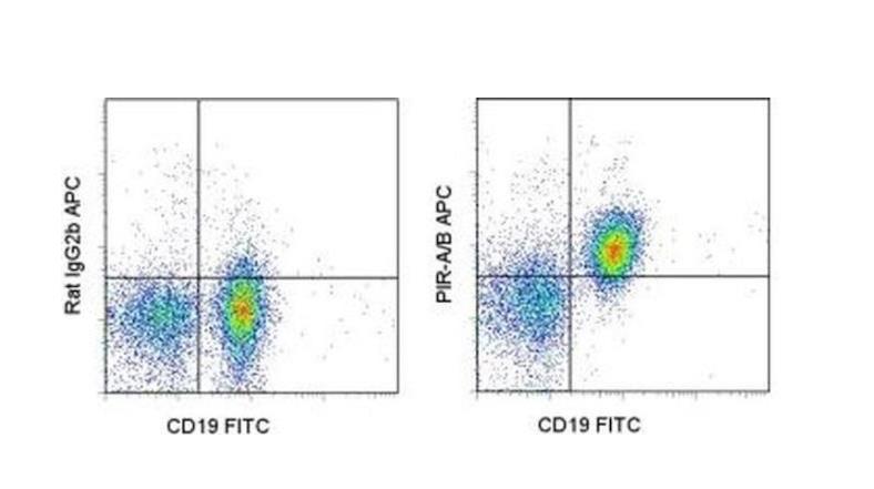 PIR-A/B Monoclonal Antibody (10-1-PIR), APC, eBioscience™