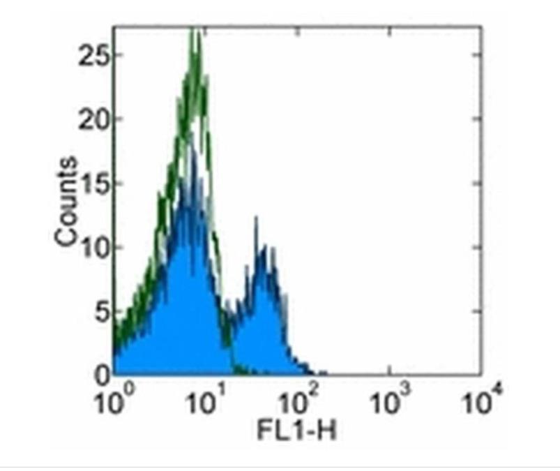 CD314 (NKG2D) Monoclonal Antibody (1D11), eBioscience™