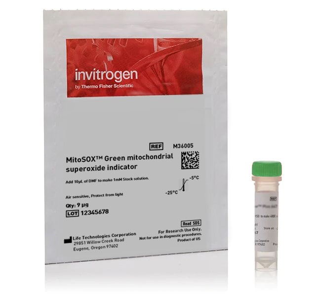 MitoSOX Green 线粒体超氧化物指示剂，用于活细胞成像