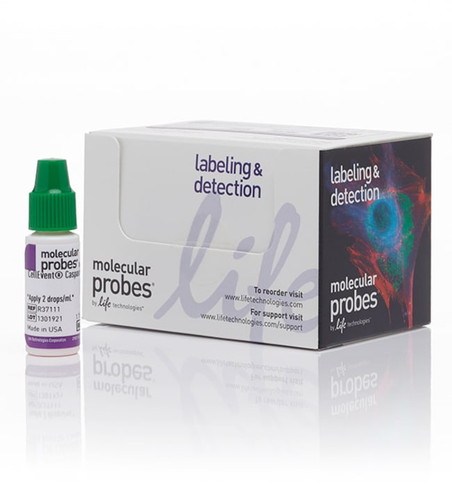 CellEvent Caspase-3/7 Green ReadyProbes 试剂