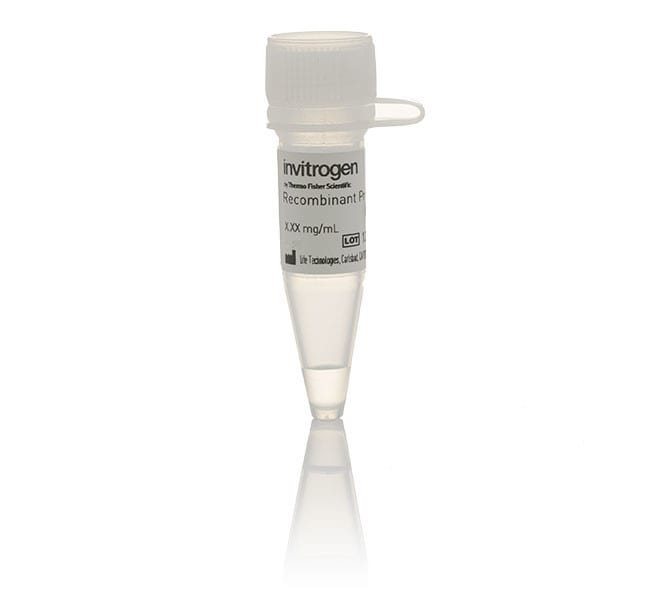 Estrogen Receptor alpha (ER alpha) ER Alpha Recombinant Protein
