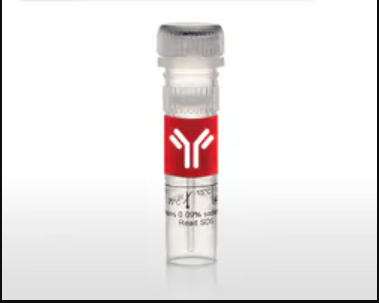 G0/G1 switch 2 Polyclonal Antibody