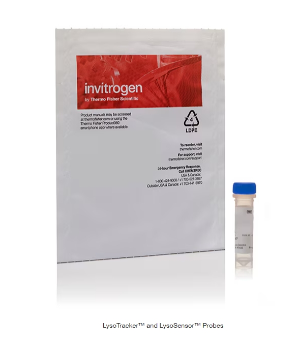 LysoTracker™ and LysoSensor™ Probes
