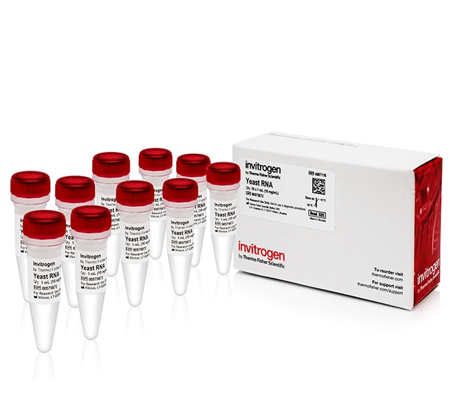 酵母 RNA (10 mg/mL)