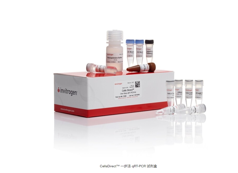 CellsDirect™ 一步法 qRT-PCR 试剂盒