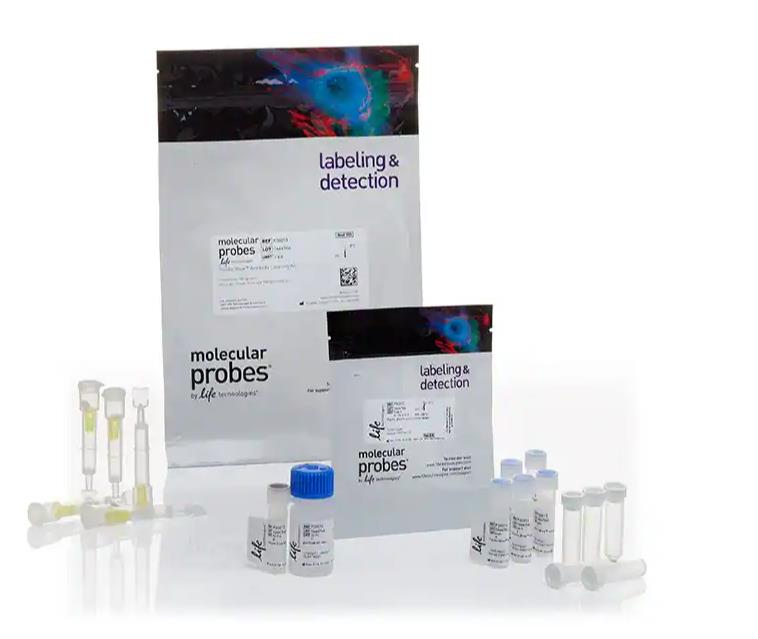 Alexa Fluor™ Antibody Labeling Kits