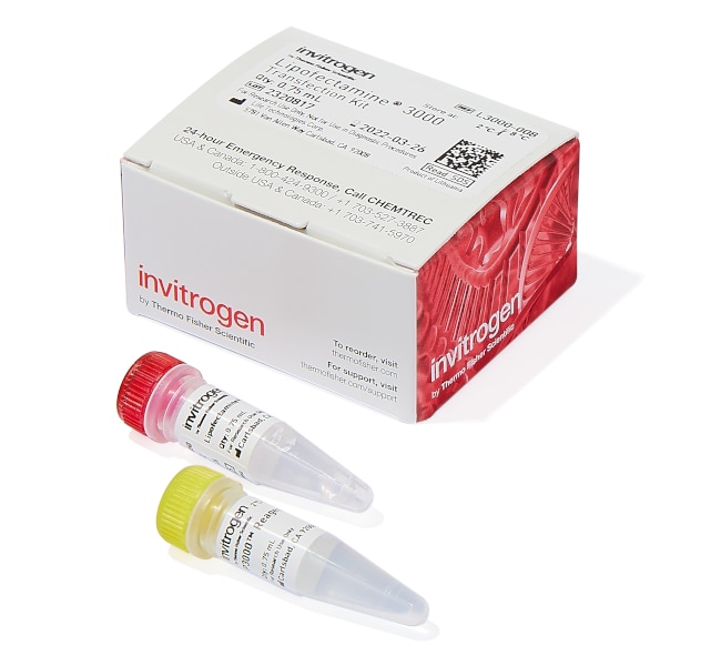 Lipofectamine 3000转染试剂，0.75mL