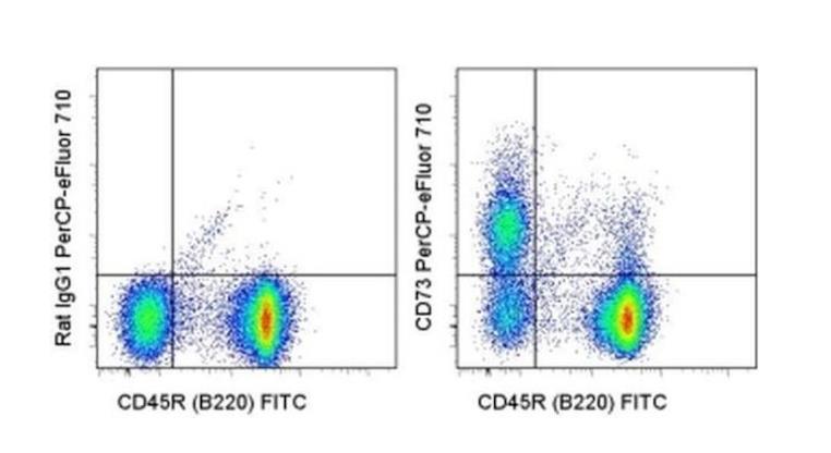 CD73 Monoclonal Antibody (eBioTY/11.8 (TY/11.8)), PerCP-eFluor™ 710, eBioscience™
