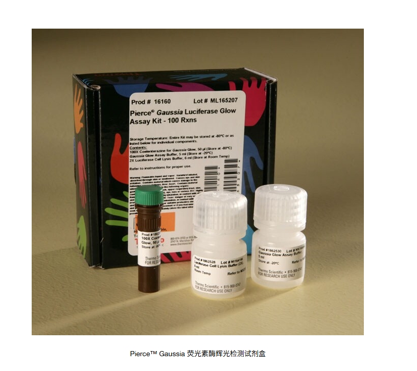 Pierce™ Gaussia 荧光素酶辉光检测试剂盒