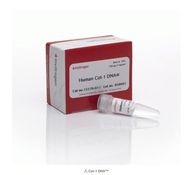 人 Cot-1 DNA™