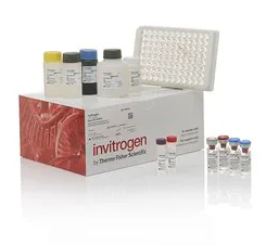 IL-18 Rat ELISA Kit